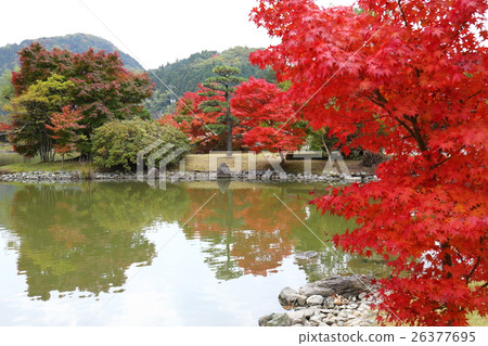淨土地花園的歷史遺址Shirahama Amidado邊界秋天 - 2016年 淨土地花園的歷史遺址Shirahama Amidado邊界秋天 - 2016年 26377695