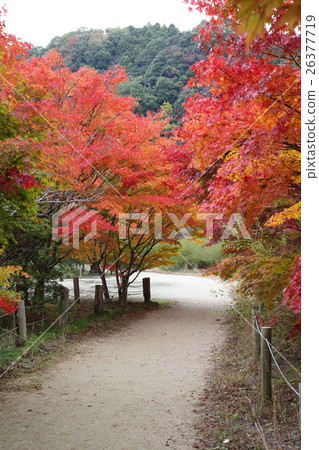 Historic site Shirahama Amidado boundary Fall of the Pure Land Garden - 2016 Historic site Shirahama Amidado boundary Fall of the Pure Land Garden - 2016 26377719