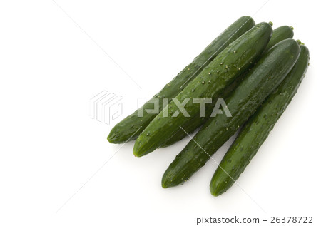Cucumber 26378722