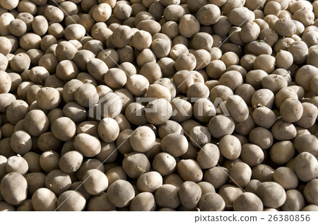 Potato (potato) Potato (potato) 26380856