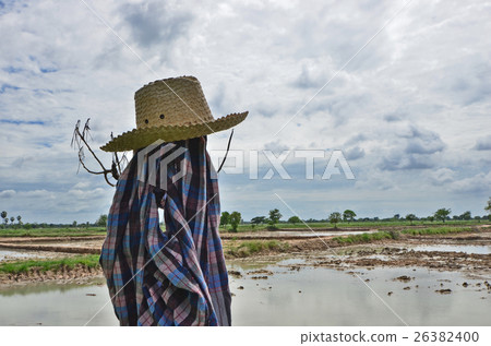 Hat and clothes of a farmer beside the field Hat and clothes of a farmer beside the field 26382400