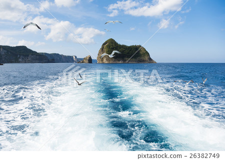 Cruising image cut with Shakotan (+ Seagull) Cruising image cut with Shakotan (+ Seagull) 26382749
