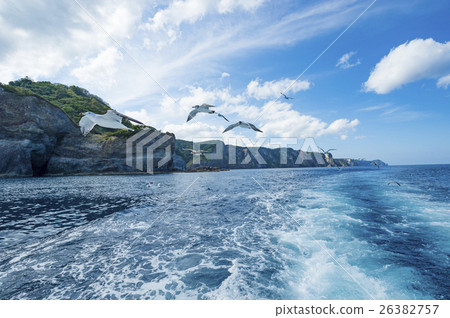 用Shakotan（+ Seagull）切割的巡航圖像 26382757