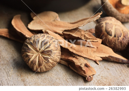 Ganoderma lucidum 26382993