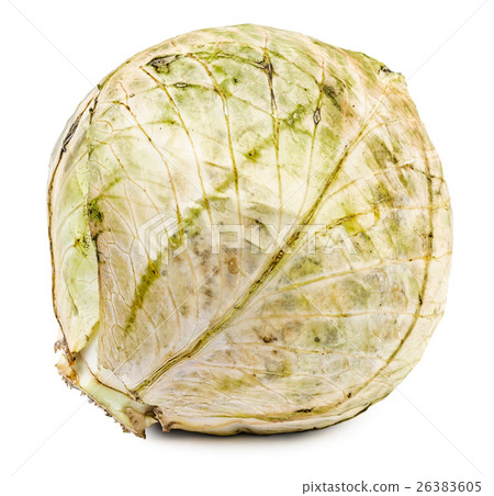 Rotten and dried cabbage isolated 26383605