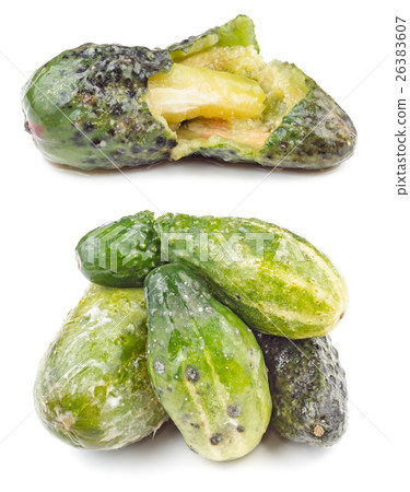 Rotten and moldy cucumbers isolated Rotten and moldy cucumbers isolated 26383607
