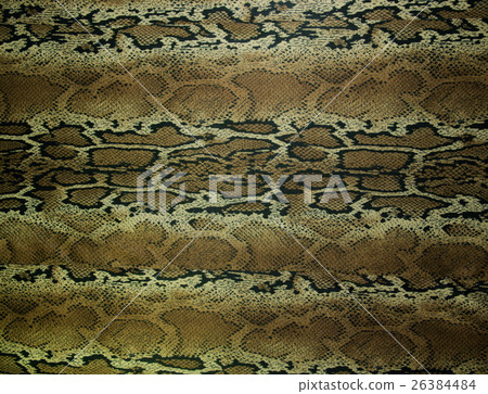 texture of print fabric stripes snake 26384484