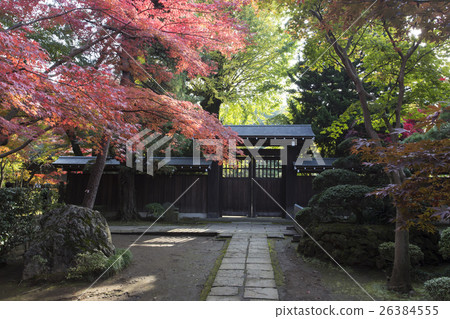 Autumn leaves of Hirin Autumn leaves of Hirin 26384555