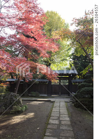 Autumn leaves of Hirin Autumn leaves of Hirin 26384557
