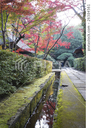 Autumn leaves of Hirin 26384561