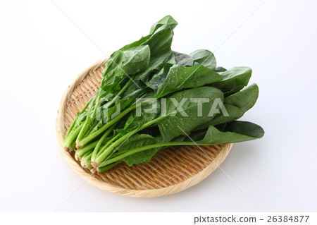 spinach spinach 26384877