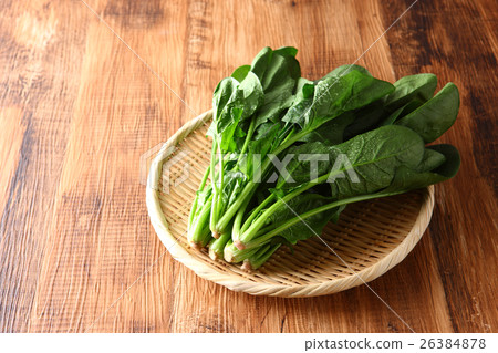 菠菜 菠菜 26384878