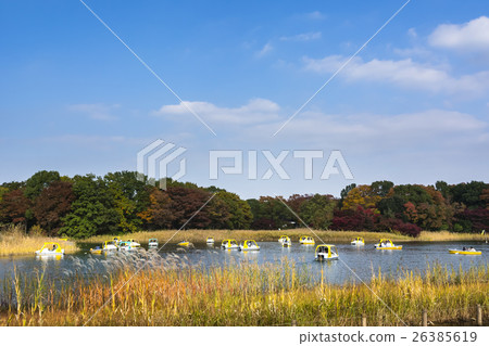 秋天的休閒日 秋天的休閒日 26385619