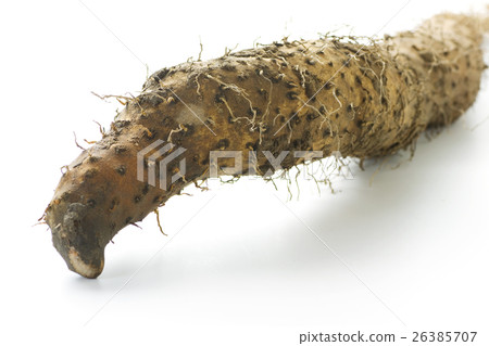 Yam yam 3 Yam yam 3 26385707