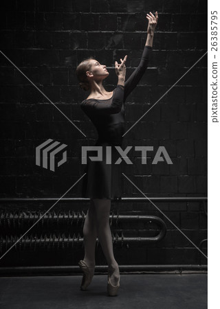 Pleasant dancer posing in the dark room 26385795