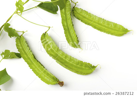 Shikakamame (Urips bean) Shikakamame (Urips bean) 26387212