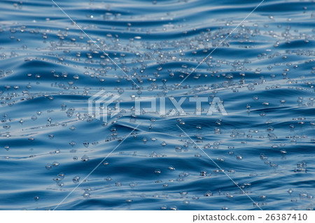 velella jellyfish on deep blue sea back velella jellyfish on deep blue sea back 26387410
