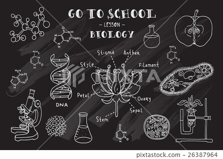 Biology. Hand sketches on the theme of biology.  26387964