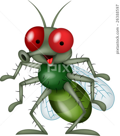 Fly cartoon 26388597