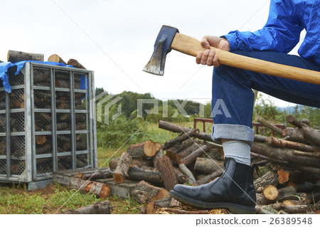 Male body parts with firewood split axes 26389548