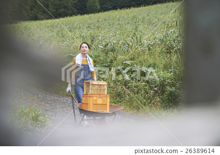 Woman pressing an unicycle agriculture experience 26389614