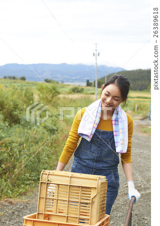 Female portrait pushing a unicycle agriculture experience 26389618