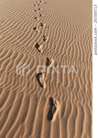 Footprints on a sand dunes desert Footprints on a sand dunes desert 26389713
