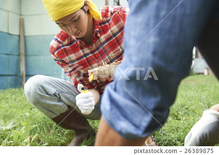 享受鄉村生活篝火的朋友 享受鄉村生活篝火的朋友 26389875