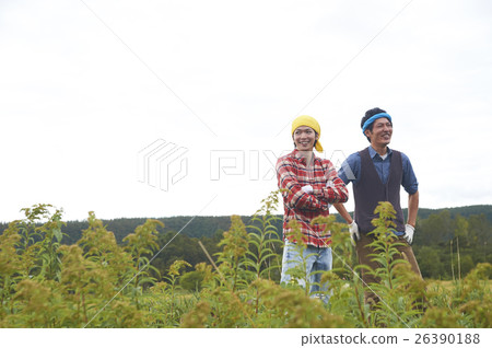 享受鄉下生活的朋友 享受鄉下生活的朋友 26390188