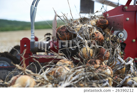 Image of agriculture Image of agriculture 26390212