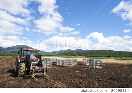 Image of agriculture 26390214