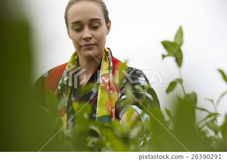 一個挑茶的外國女人 26390291