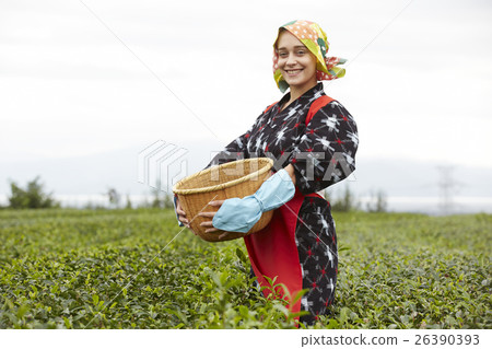 Tea girls alien portrait 26390393