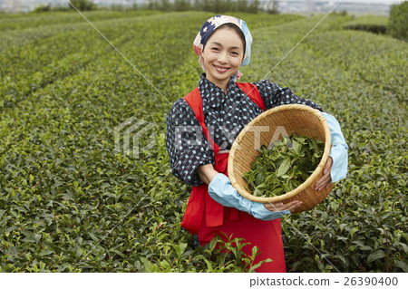 Tea girls portrait 26390400