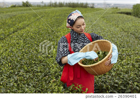 Tea girls portrait Tea girls portrait 26390401