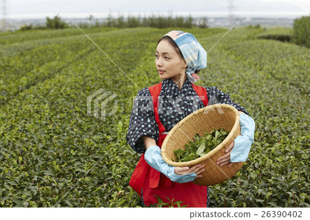Tea girls portrait Tea girls portrait 26390402