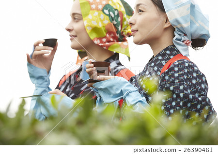 日本和外國茶女孩肖像 26390481