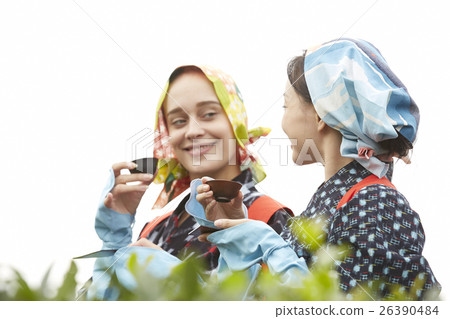 日本和外國茶女孩肖像 26390484