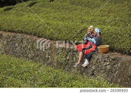 Japanese and foreign tea girls portrait Japanese and foreign tea girls portrait 26390493