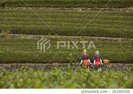 Japanese and foreign tea girls portrait Japanese and foreign tea girls portrait 26390506