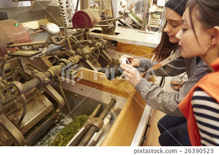 Foreign women and Japanese women who visit the tea factory 26390523