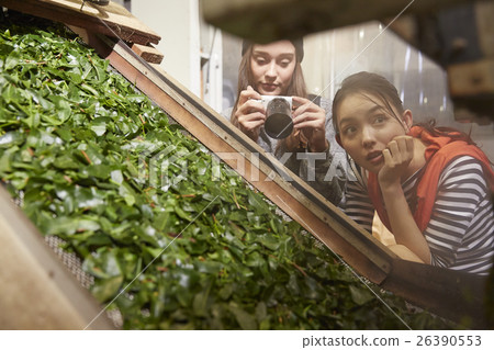 Foreign women and Japanese women who visit the tea factory 26390553