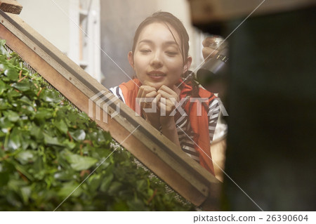 A Japanese woman observing a tea factory A Japanese woman observing a tea factory 26390604