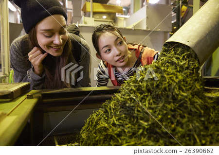 參觀茶廠的外國婦女和日本婦女 26390662