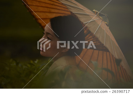 和服女性肖像 26390717