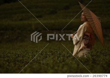 日本茶園和和服女性畫象 26390774