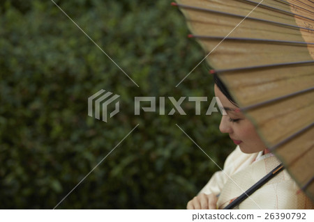 和服女性肖像 和服女性肖像 26390792