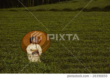Japanese tea field and kimono female portrait 26390850
