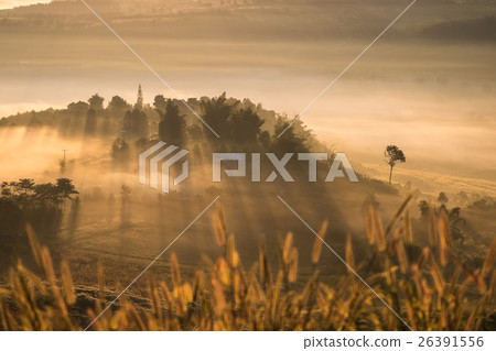 Misty morning view in Khao Takhian Ngo View Point Misty morning view in Khao Takhian Ngo View Point 26391556