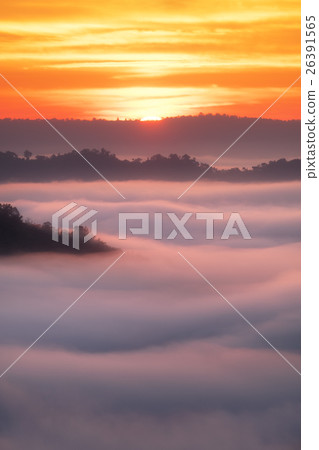 Sea of clouds in morning with sunrise Sea of clouds in morning with sunrise 26391565